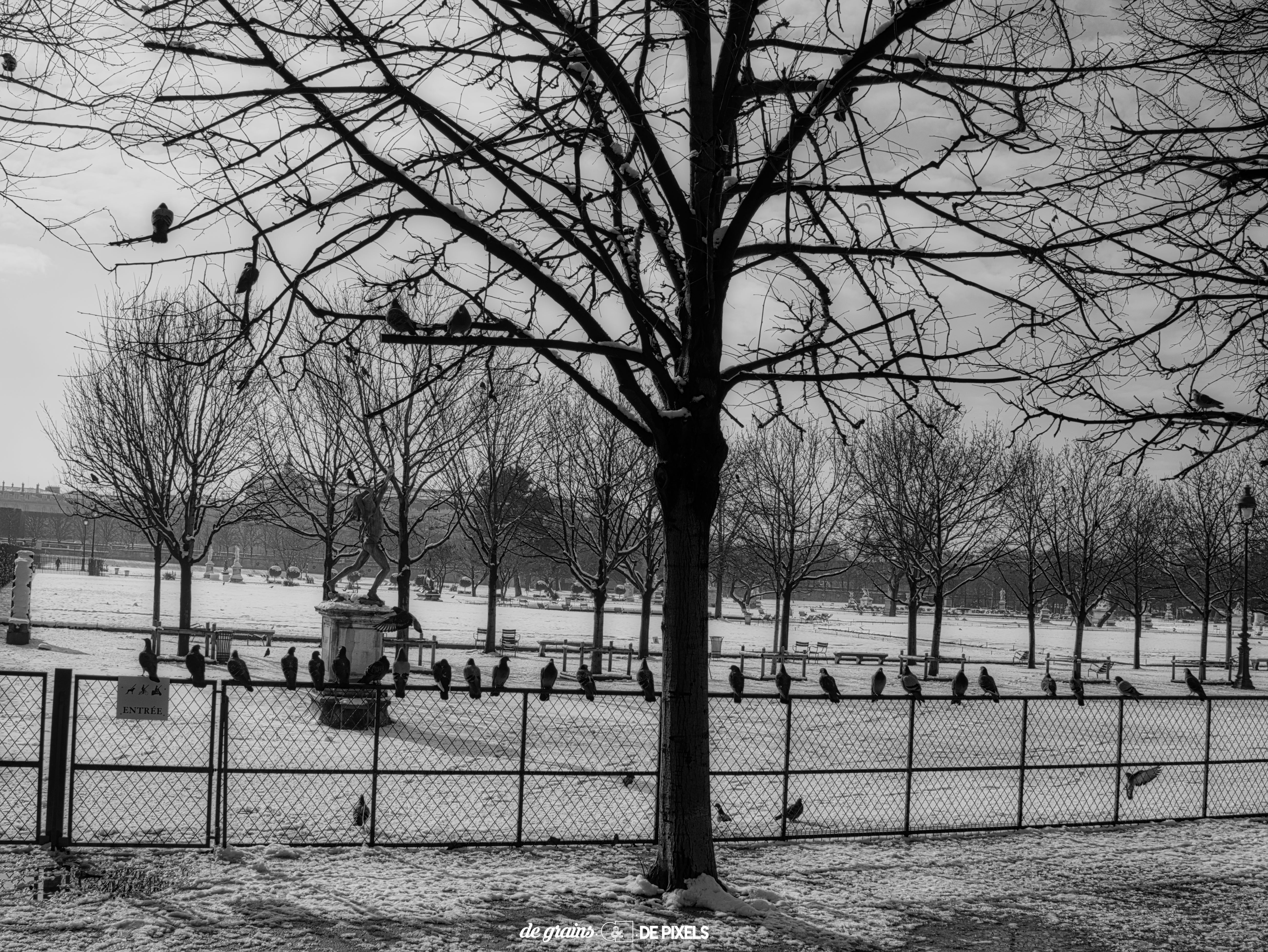 WINTER IN PARIS
